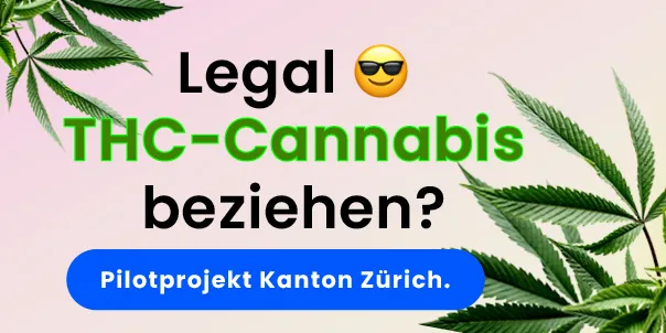 Legal Cannabis beziehen